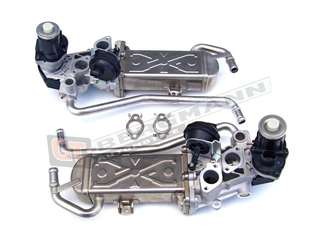 EGR Module
