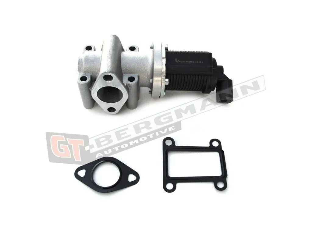 EGR Valve