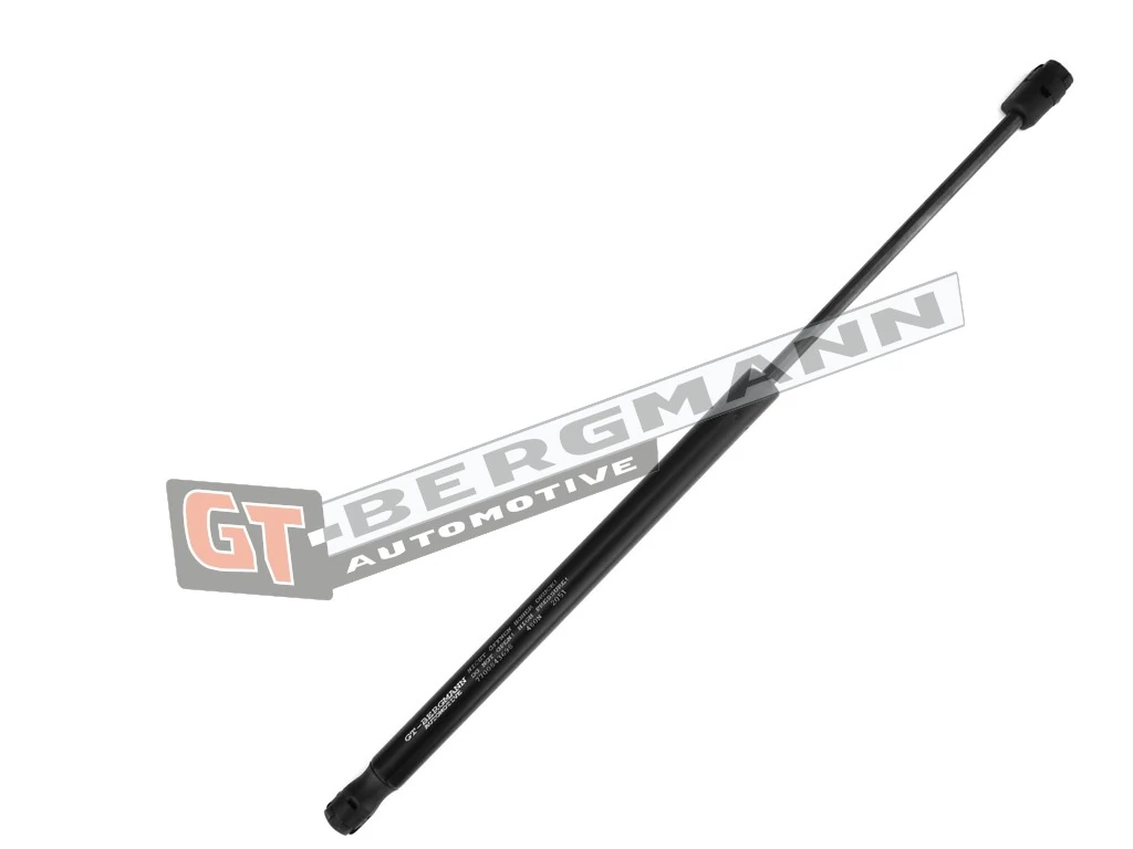 Gas Spring, boot/cargo area