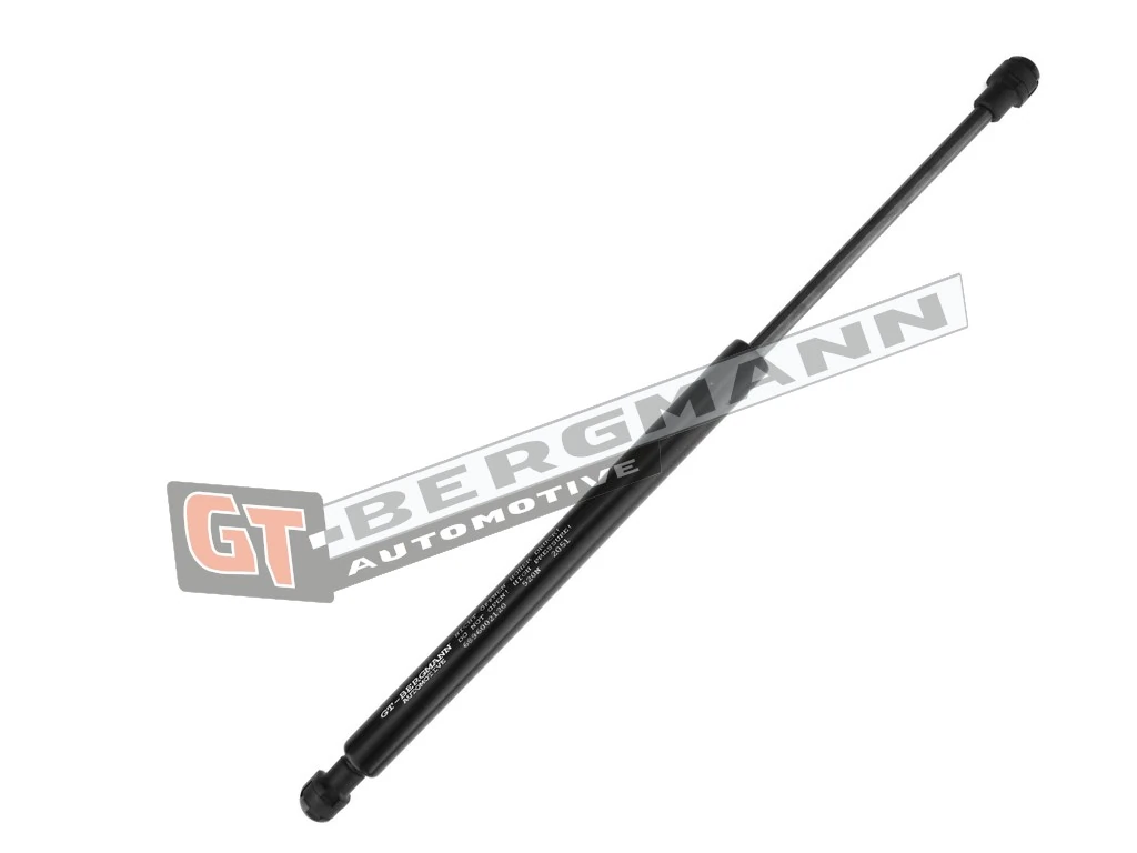 Gas Spring, boot/cargo area