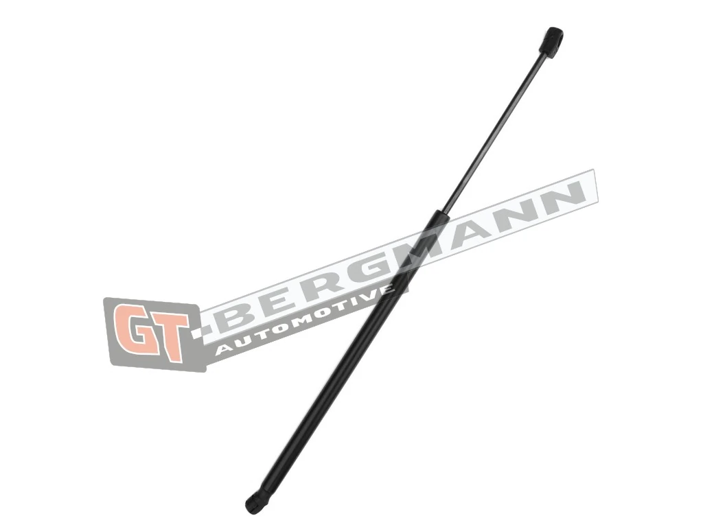 Gas Spring, boot/cargo area