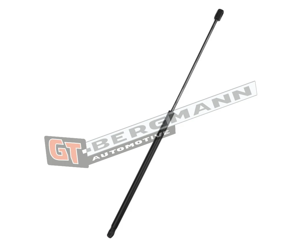 Gas Spring, boot/cargo area