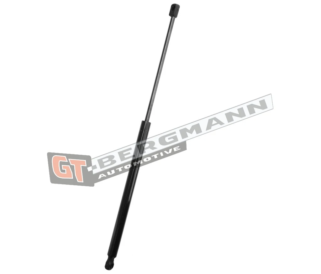 Gas Spring, boot/cargo area