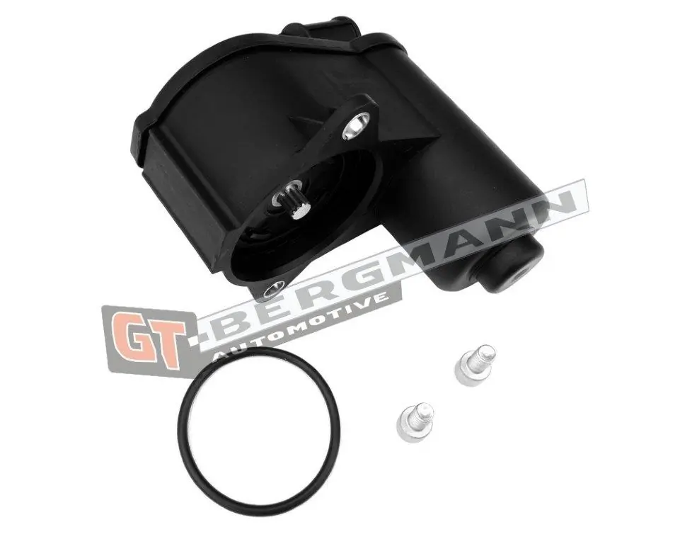 Control Element, parking brake caliper