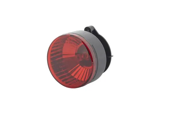 Rear Fog Light