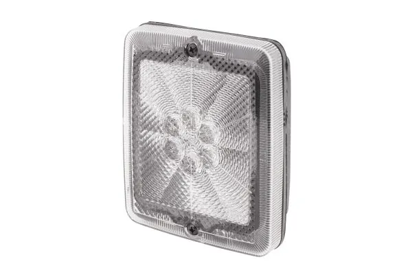 Rear Fog Light