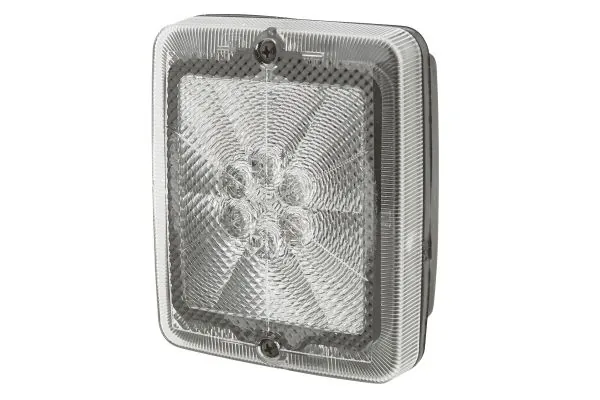 Rear Fog Light