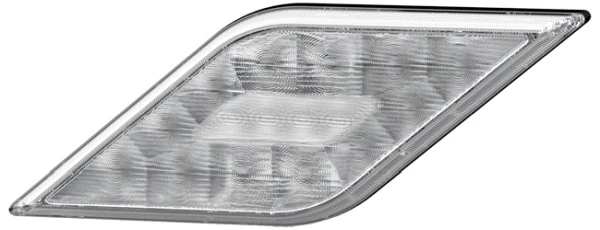 Rear Fog Light