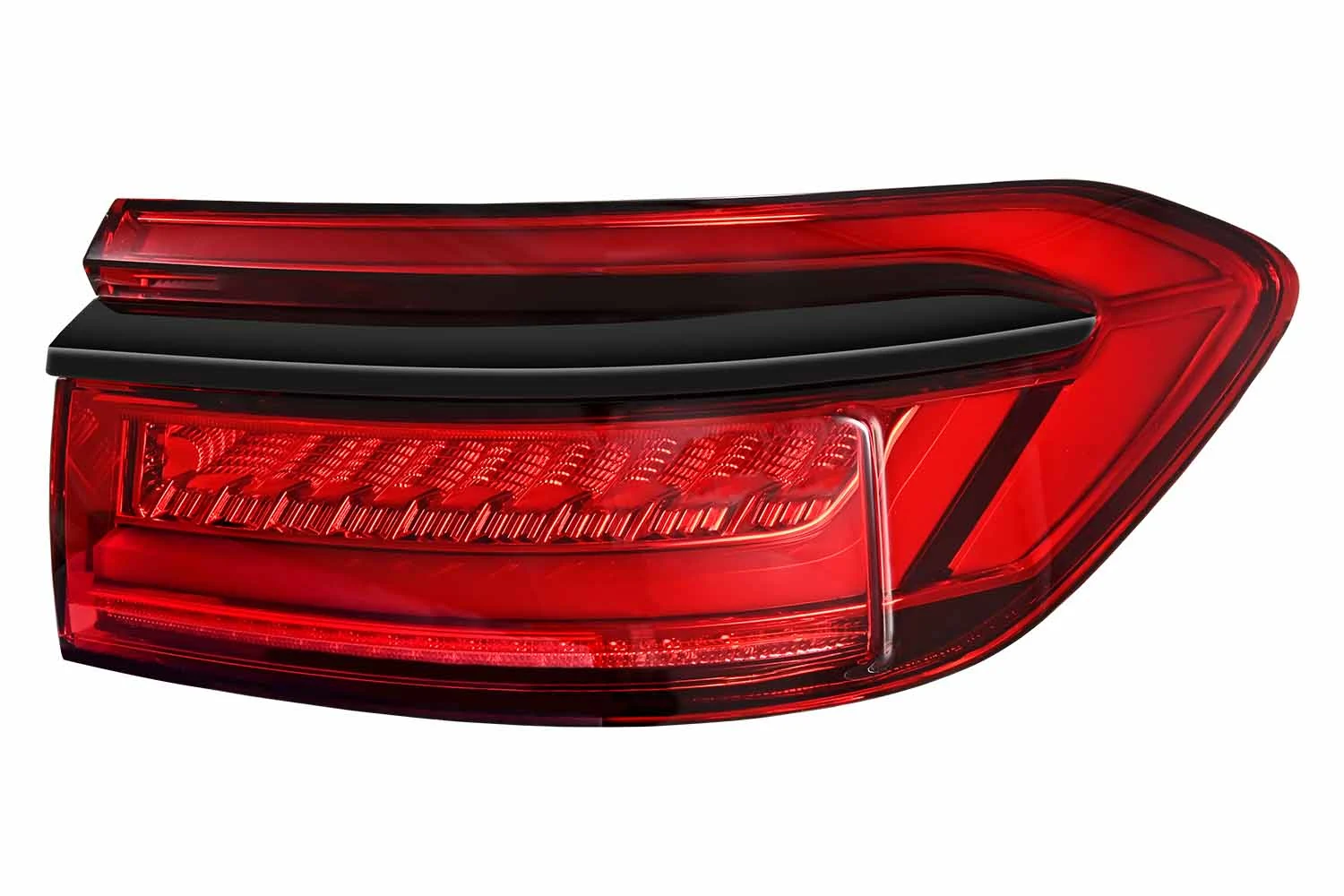 Tail Light Assembly