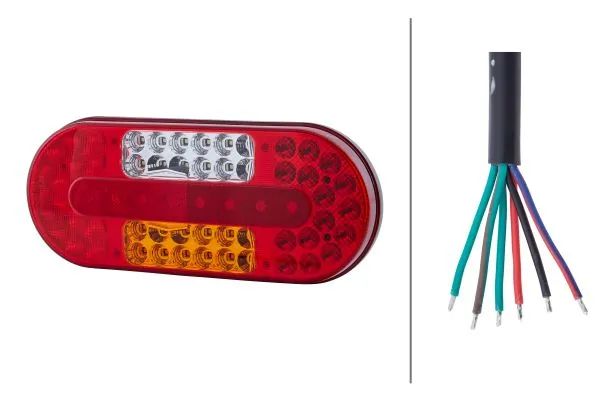 Tail Light Assembly