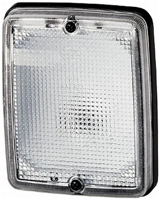 Reverse Light