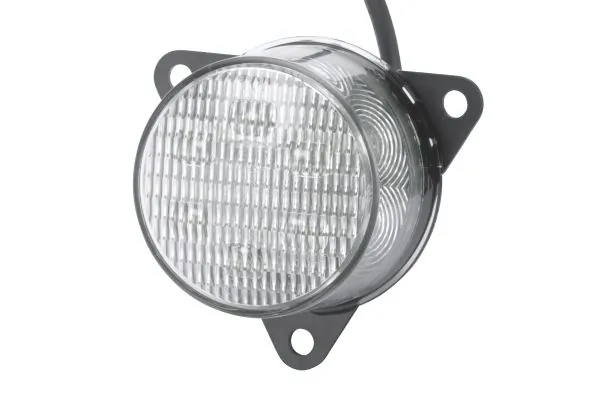 Reverse Light
