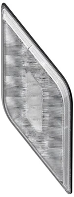 Reverse Light