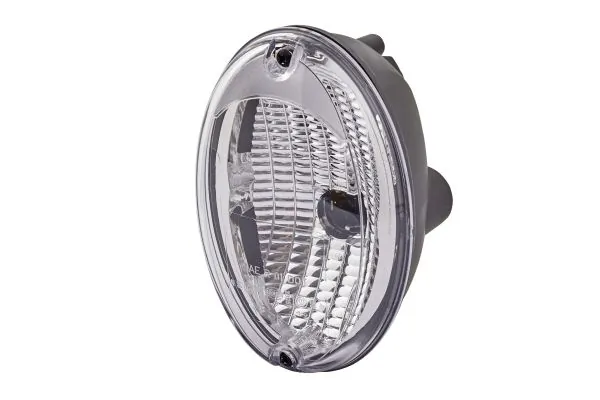 Reverse Light
