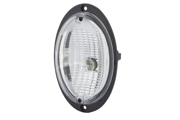 Reverse Light