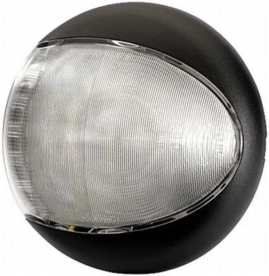 Reverse Light