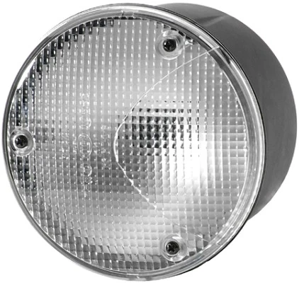 Reverse Light
