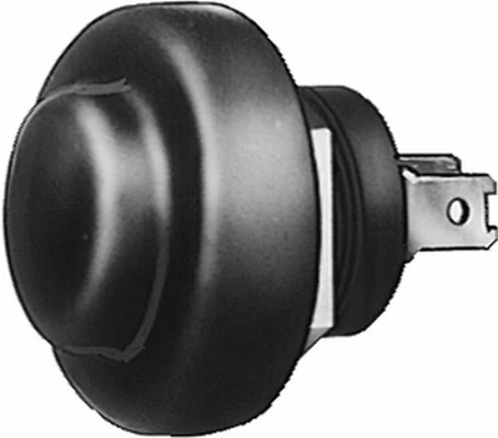 Ignition Switch