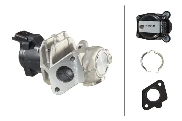 EGR Valve