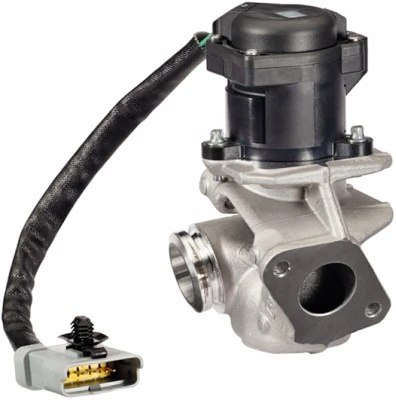 EGR Valve