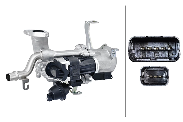 EGR Module