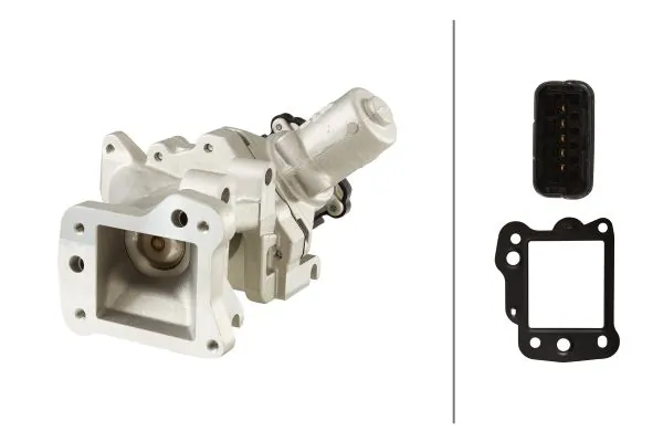 EGR Valve