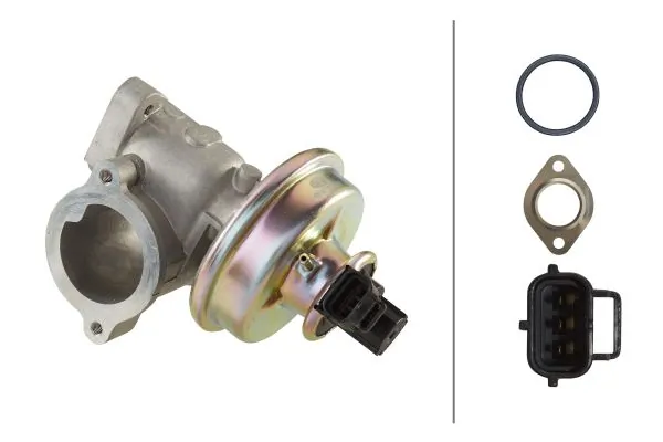 EGR Valve