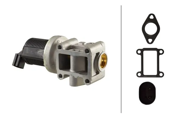 EGR Valve