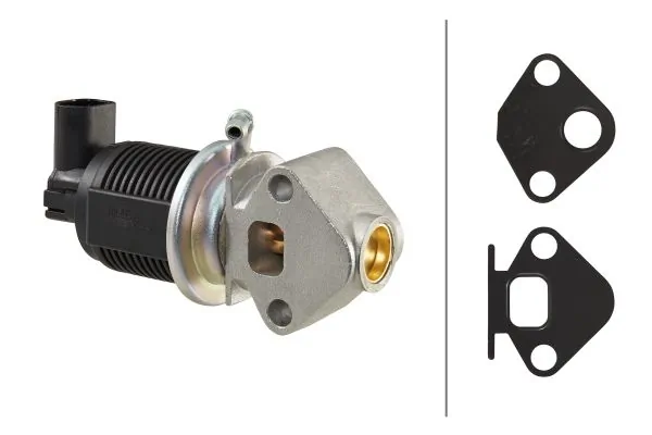 EGR Valve