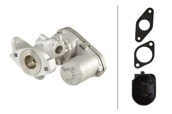 EGR Valve