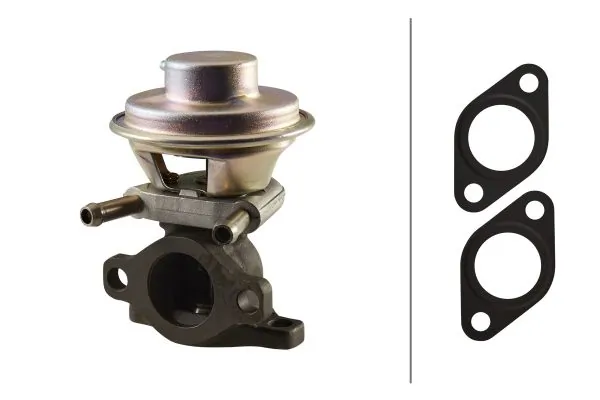 EGR Valve