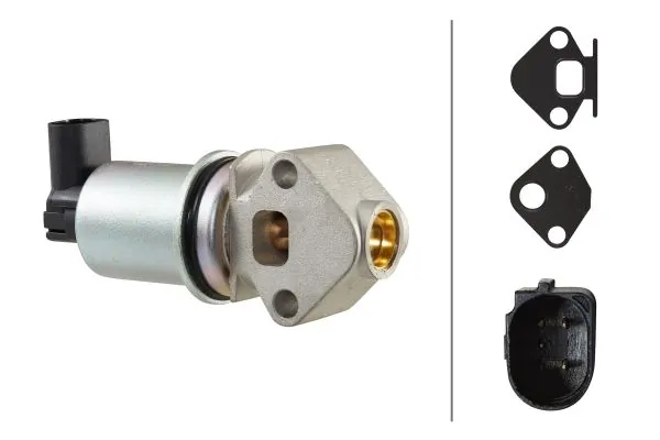 EGR Valve