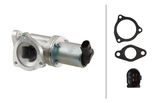 EGR Valve