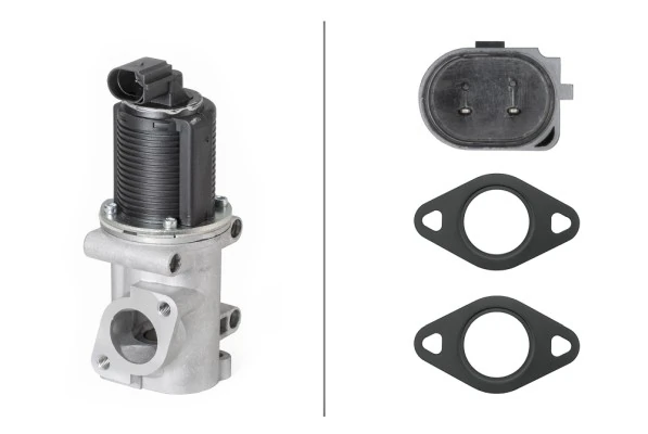 EGR Valve