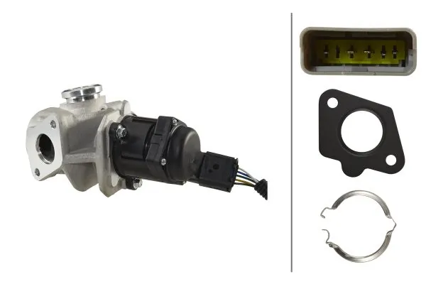 EGR Valve