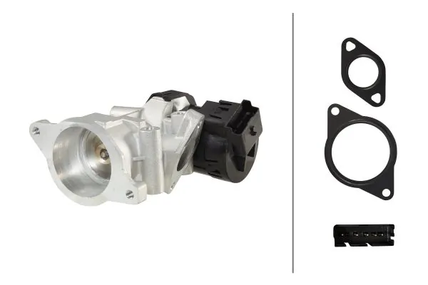 EGR Valve