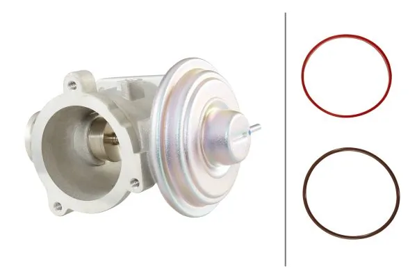 EGR Valve