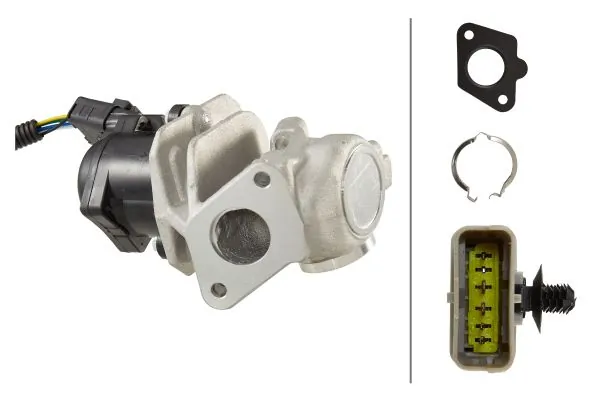 EGR Valve
