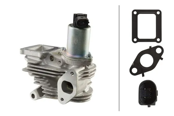 EGR Valve