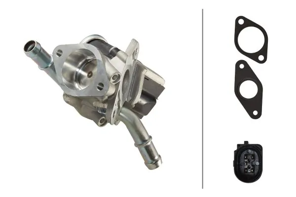 EGR Valve