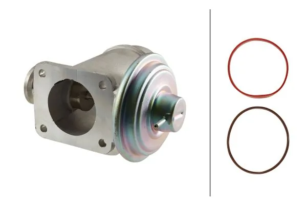 EGR Valve