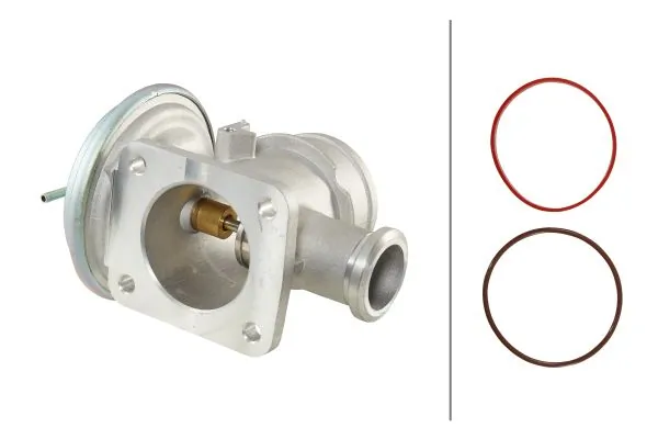 EGR Valve