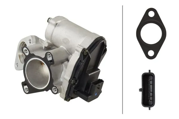 EGR Valve