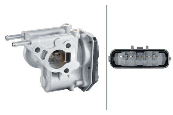 EGR Valve