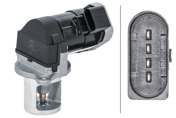EGR Valve