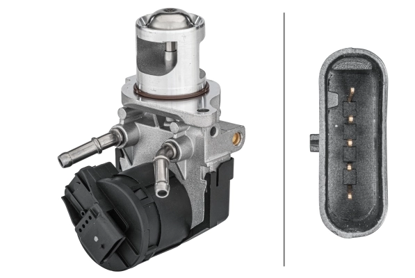 EGR Valve