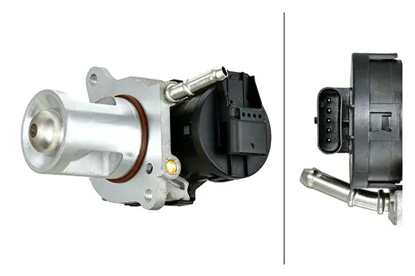 EGR Valve