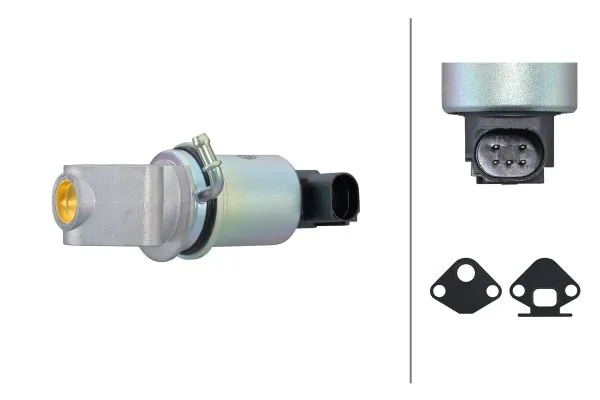 EGR Valve