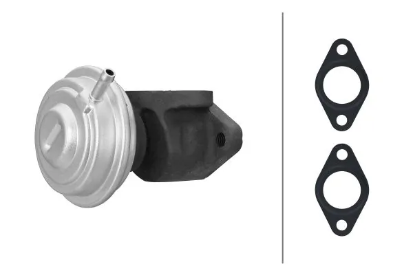 EGR Valve