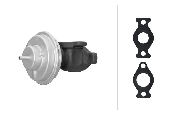 EGR Valve